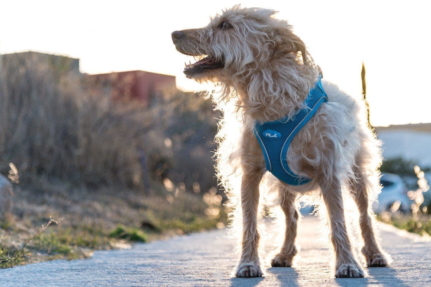 Imagen del producto 44