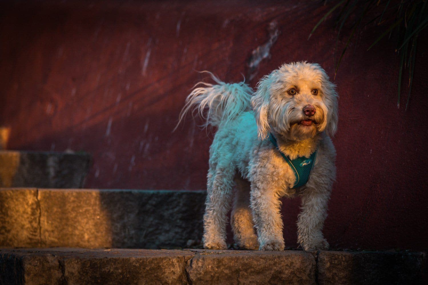 Imagen del producto 35