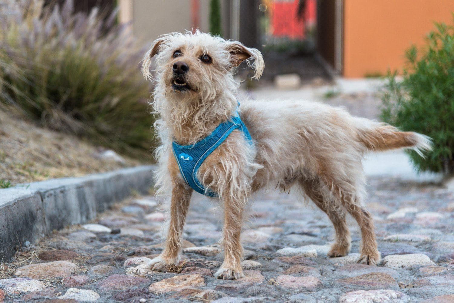 Imagen del producto 37