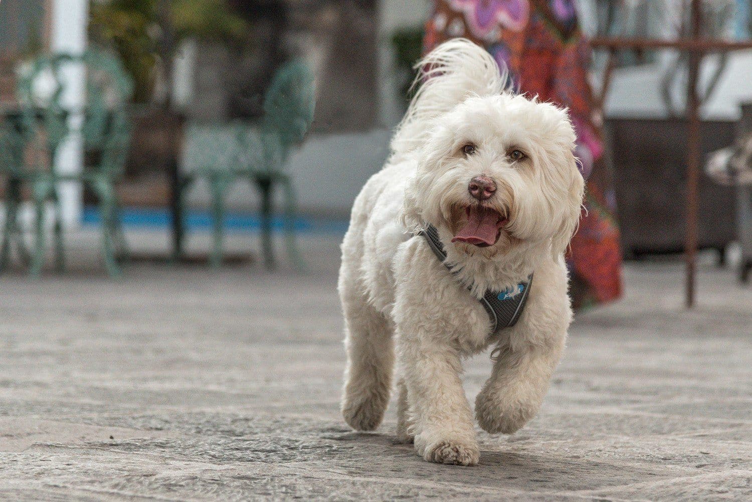 Imagen del producto 9