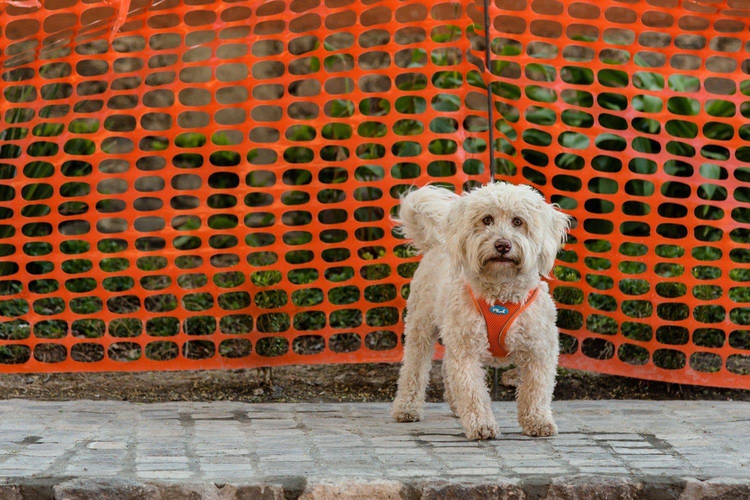 Imagen del producto 22