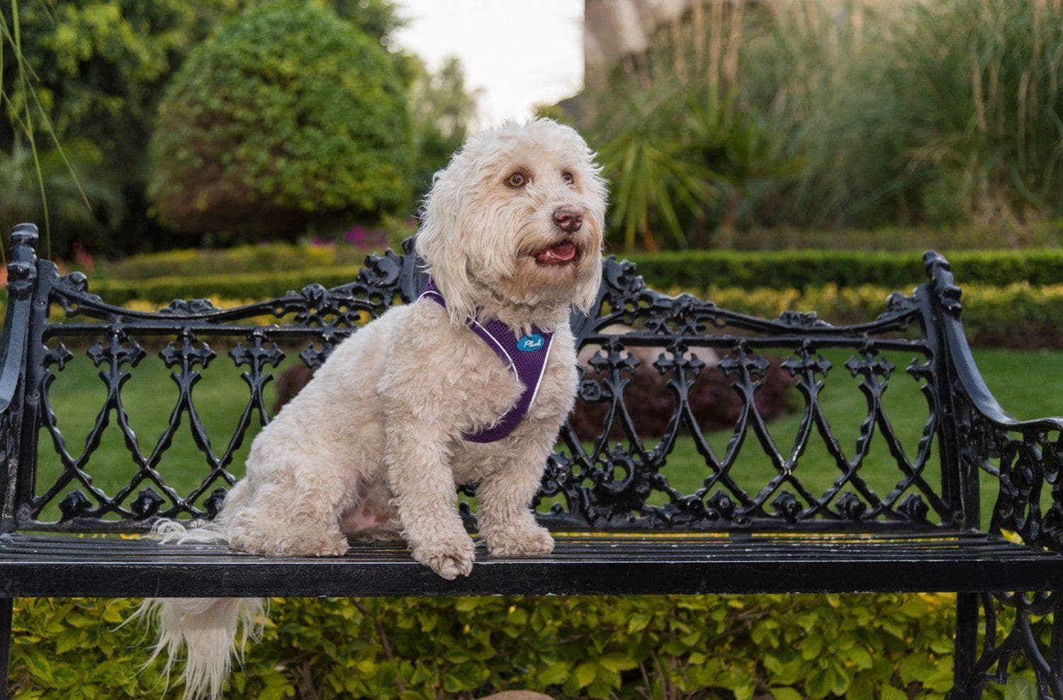 Imagen del producto 14