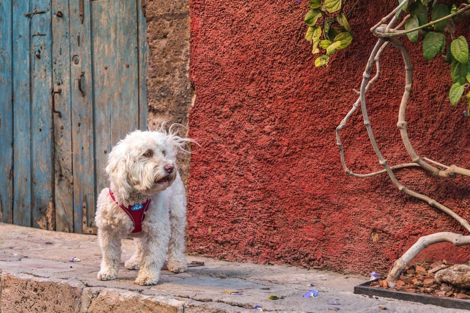 Imagen del producto 26