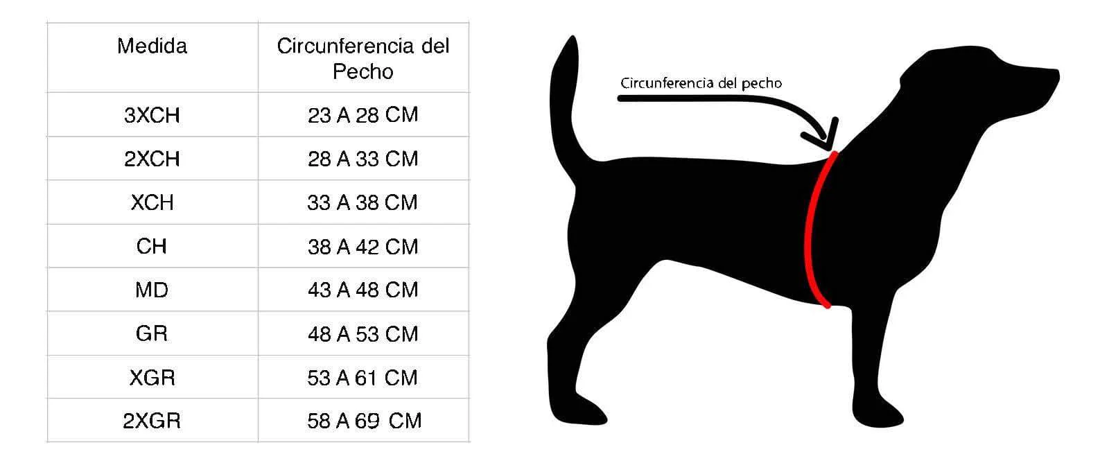 Imagen del producto 51