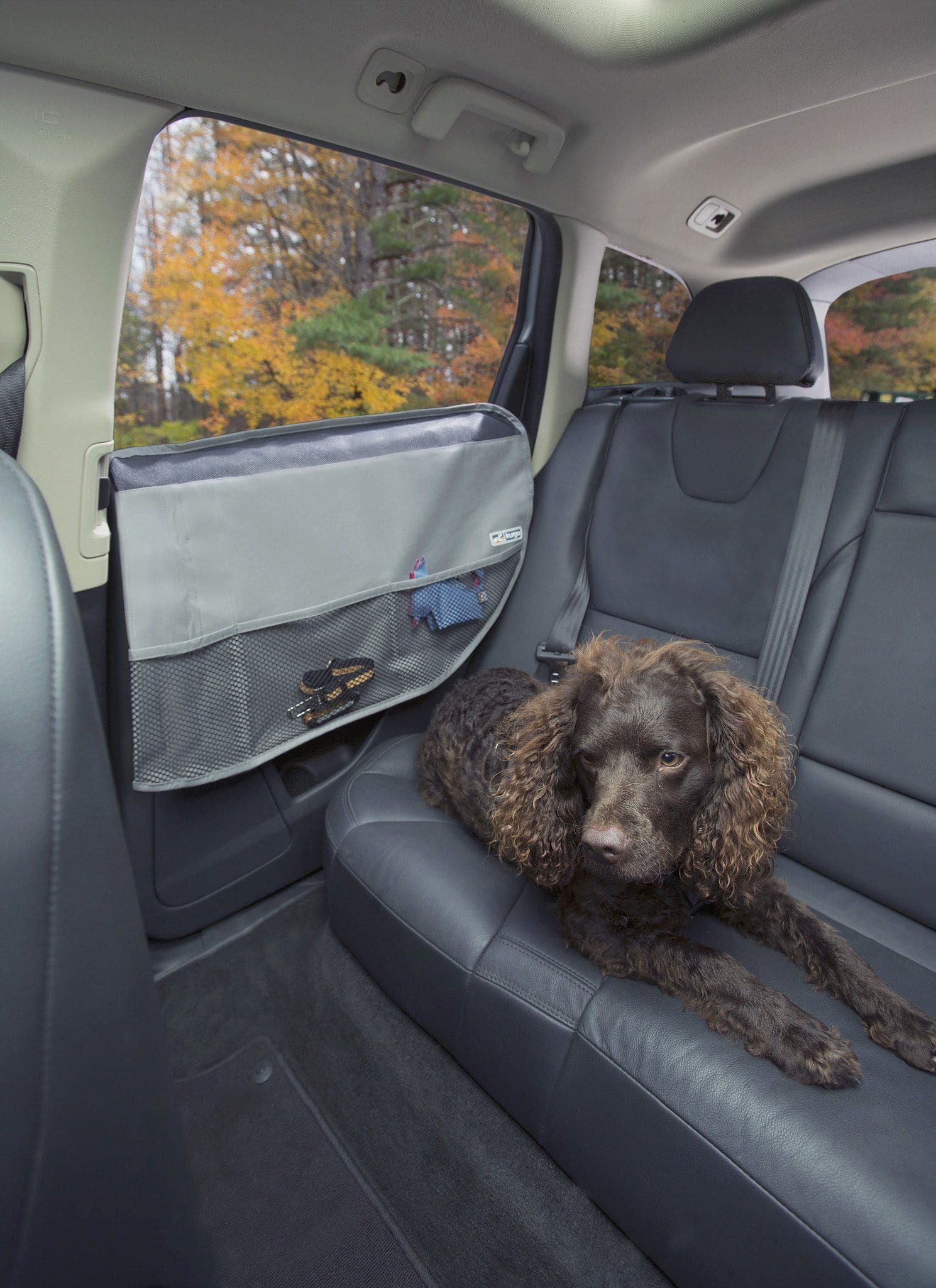 Imagen del producto 8