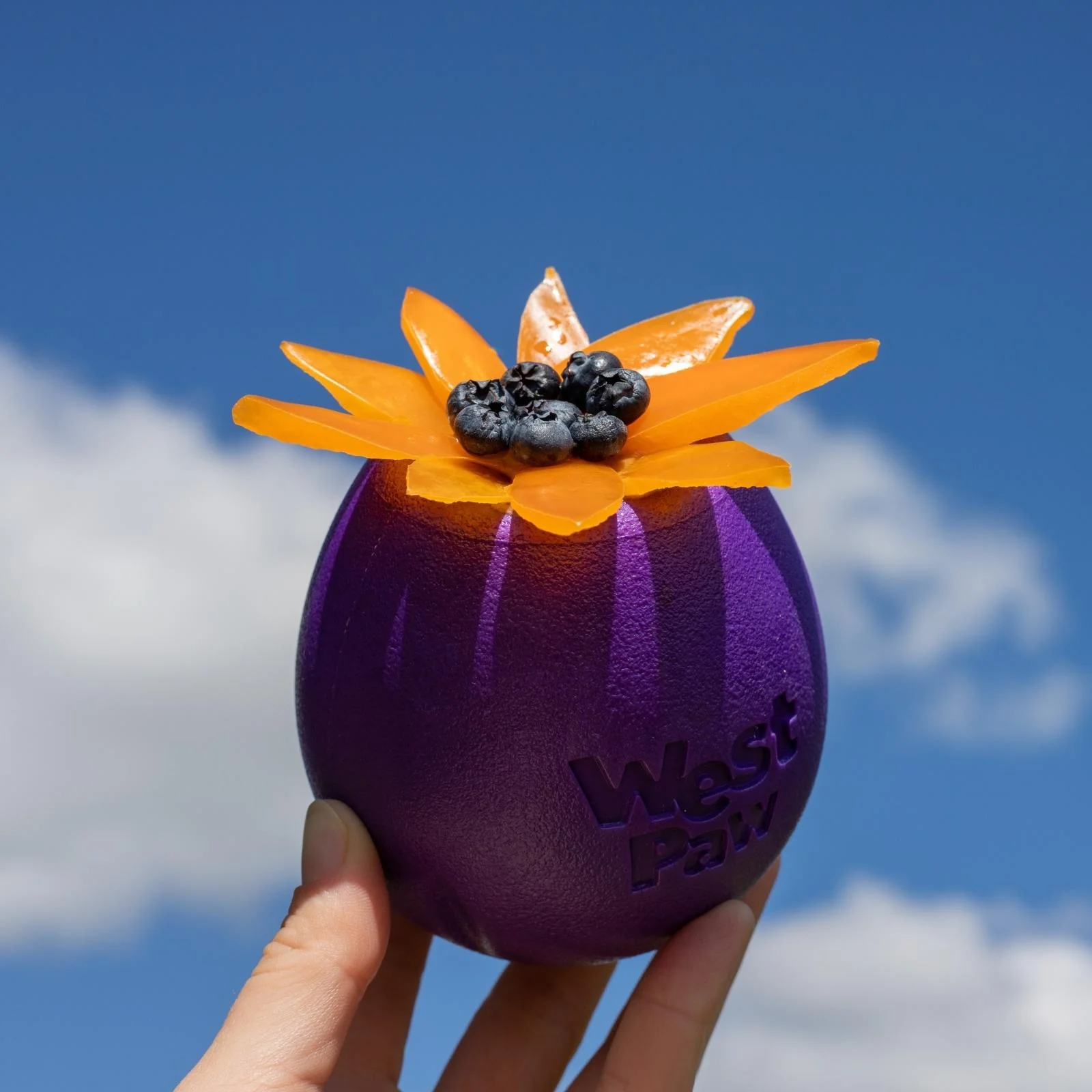 Imagen del producto 17