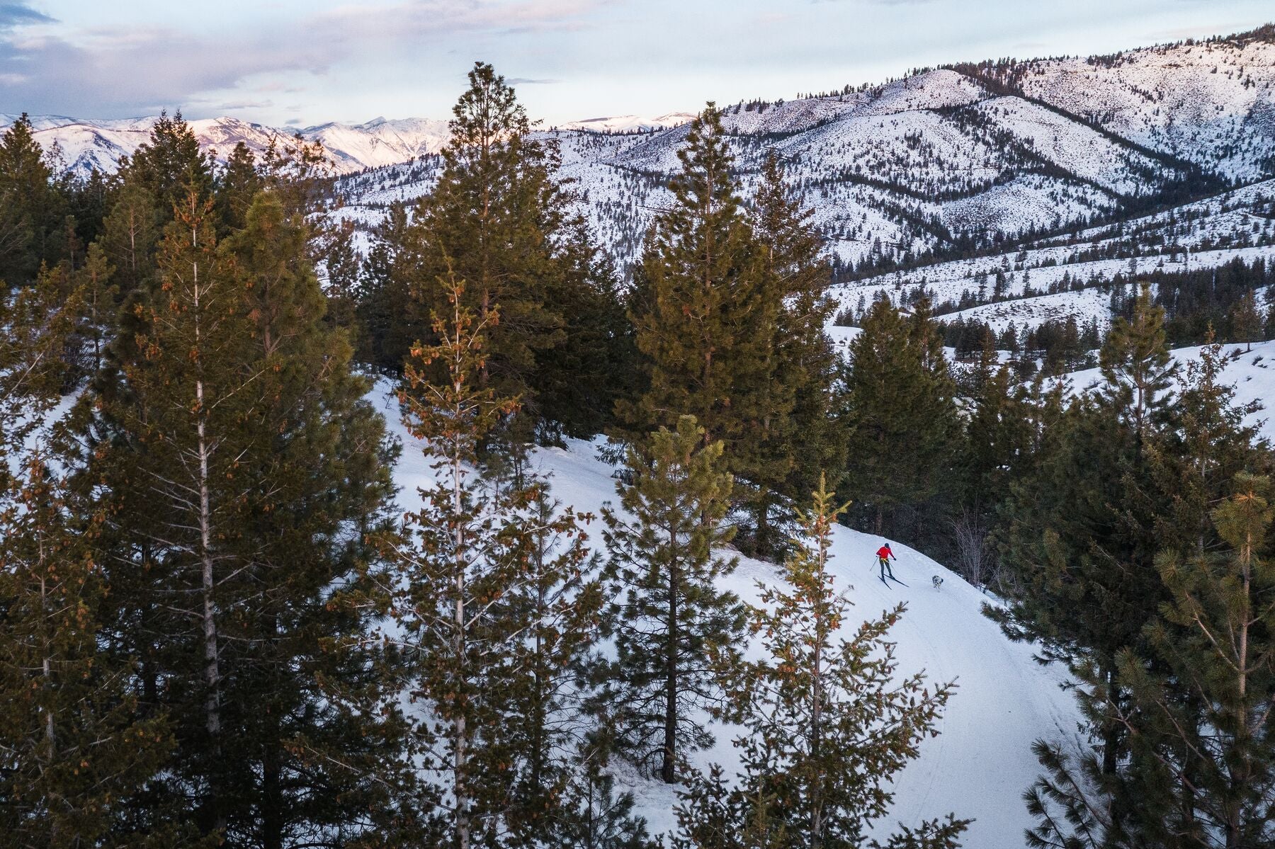 Imagen del producto 18