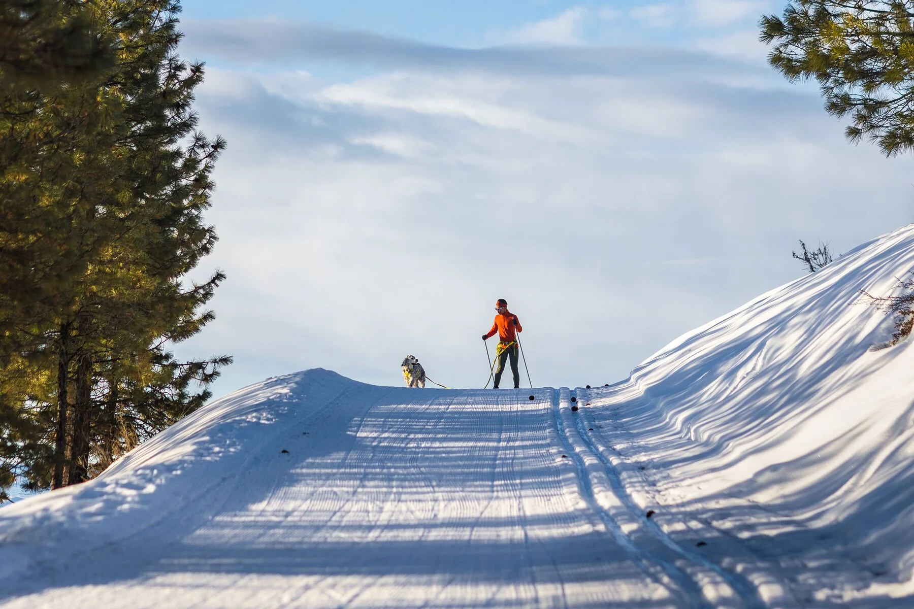 Imagen del producto 22