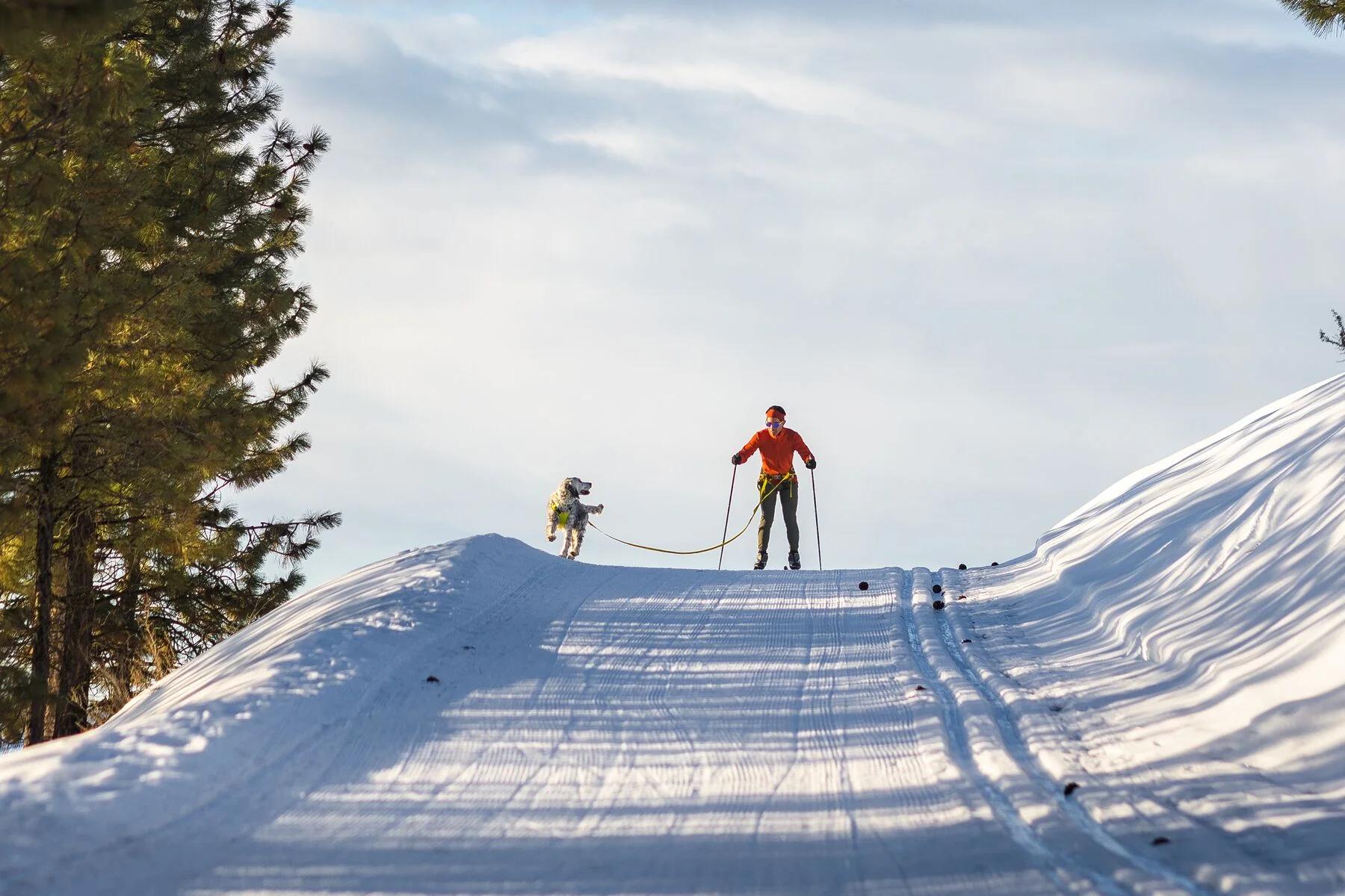 Imagen del producto 23