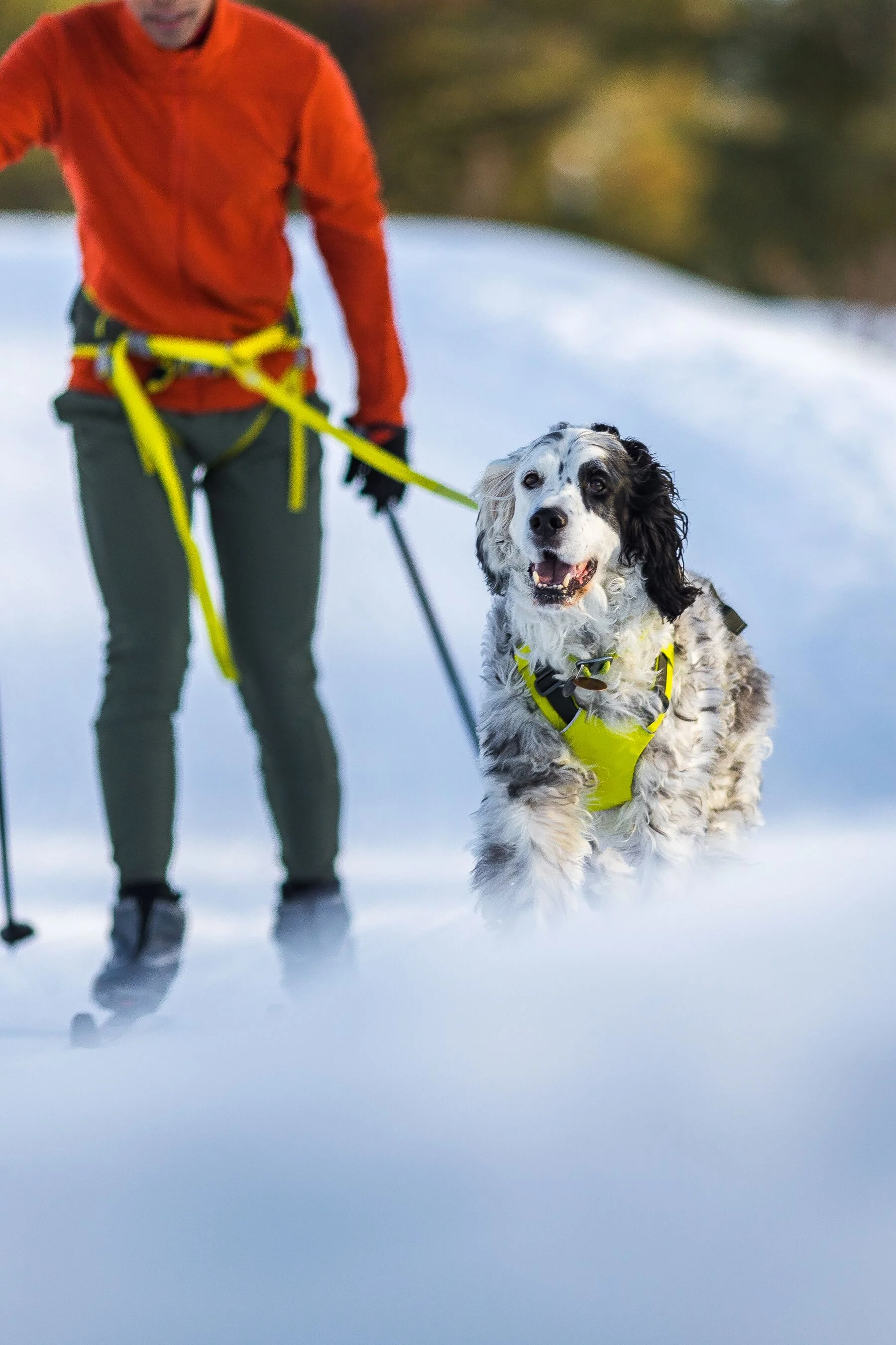 Imagen del producto 26