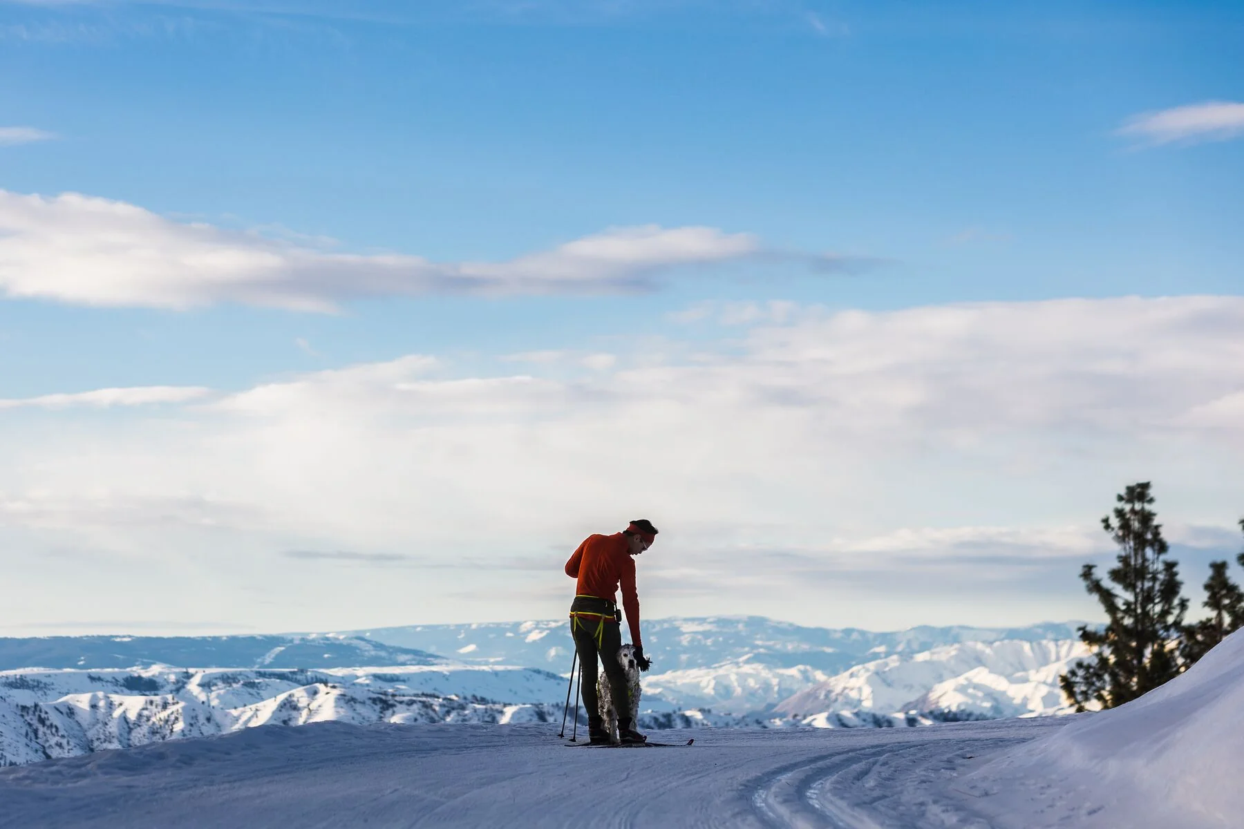 Imagen del producto 28