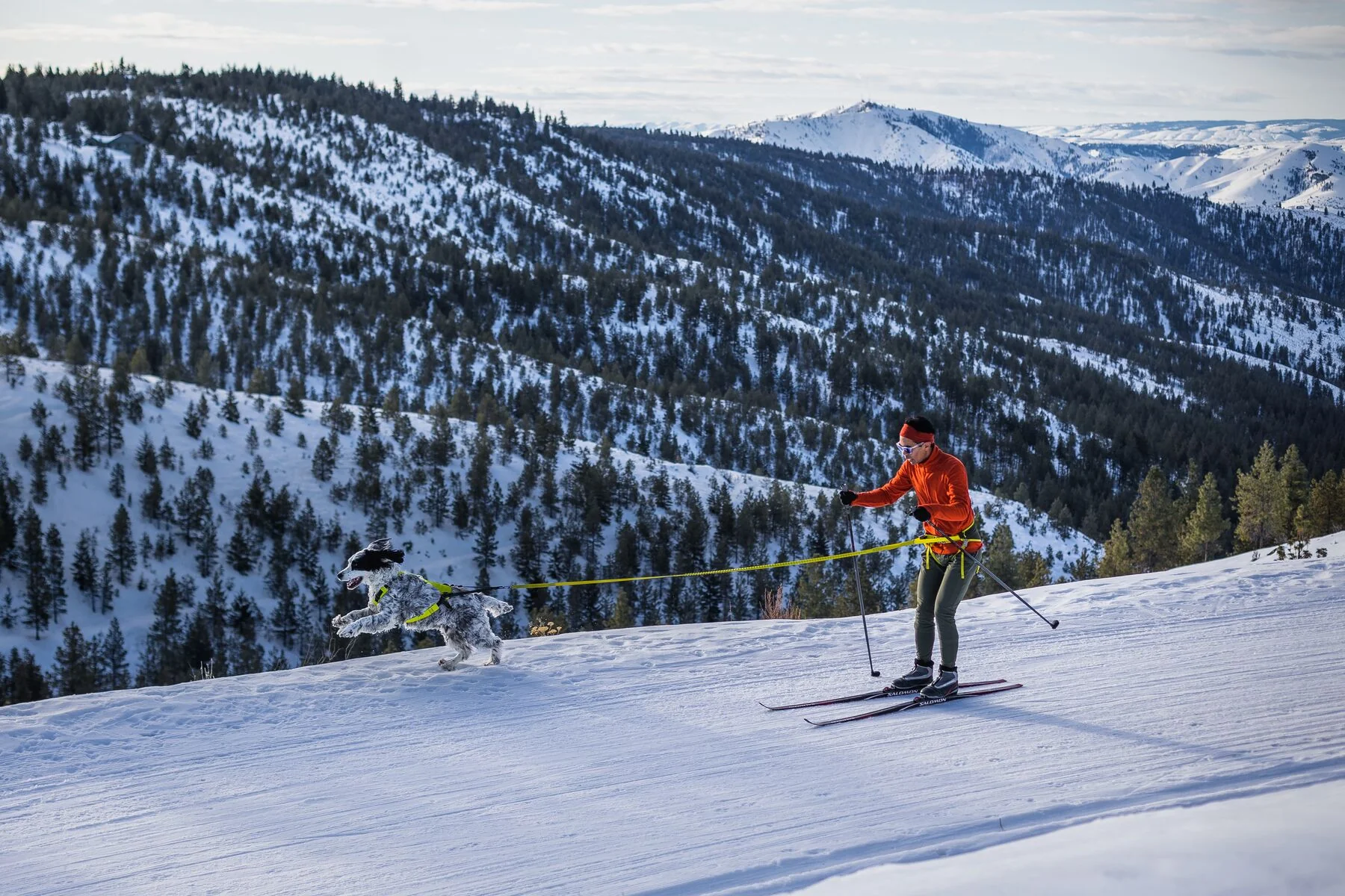 Imagen del producto 29