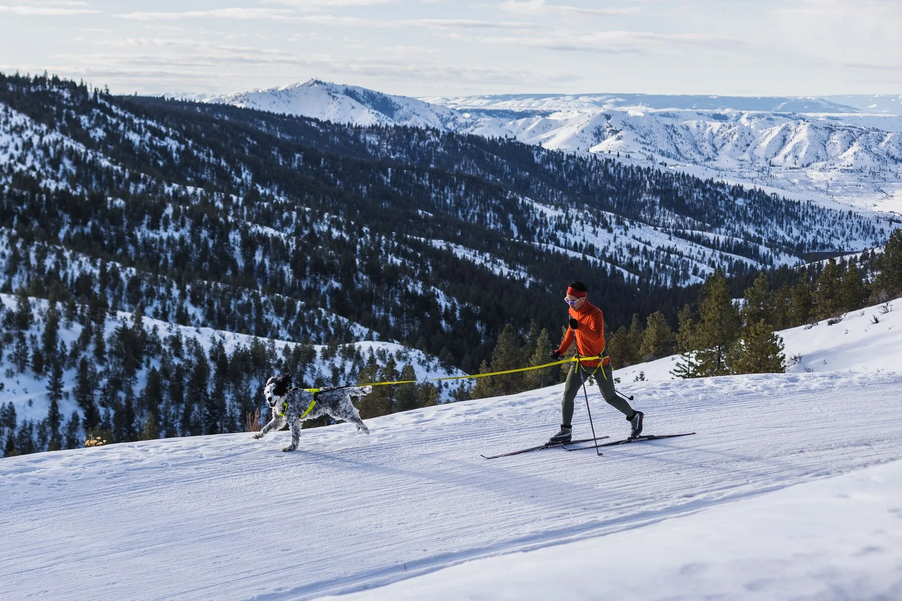 Imagen del producto 30