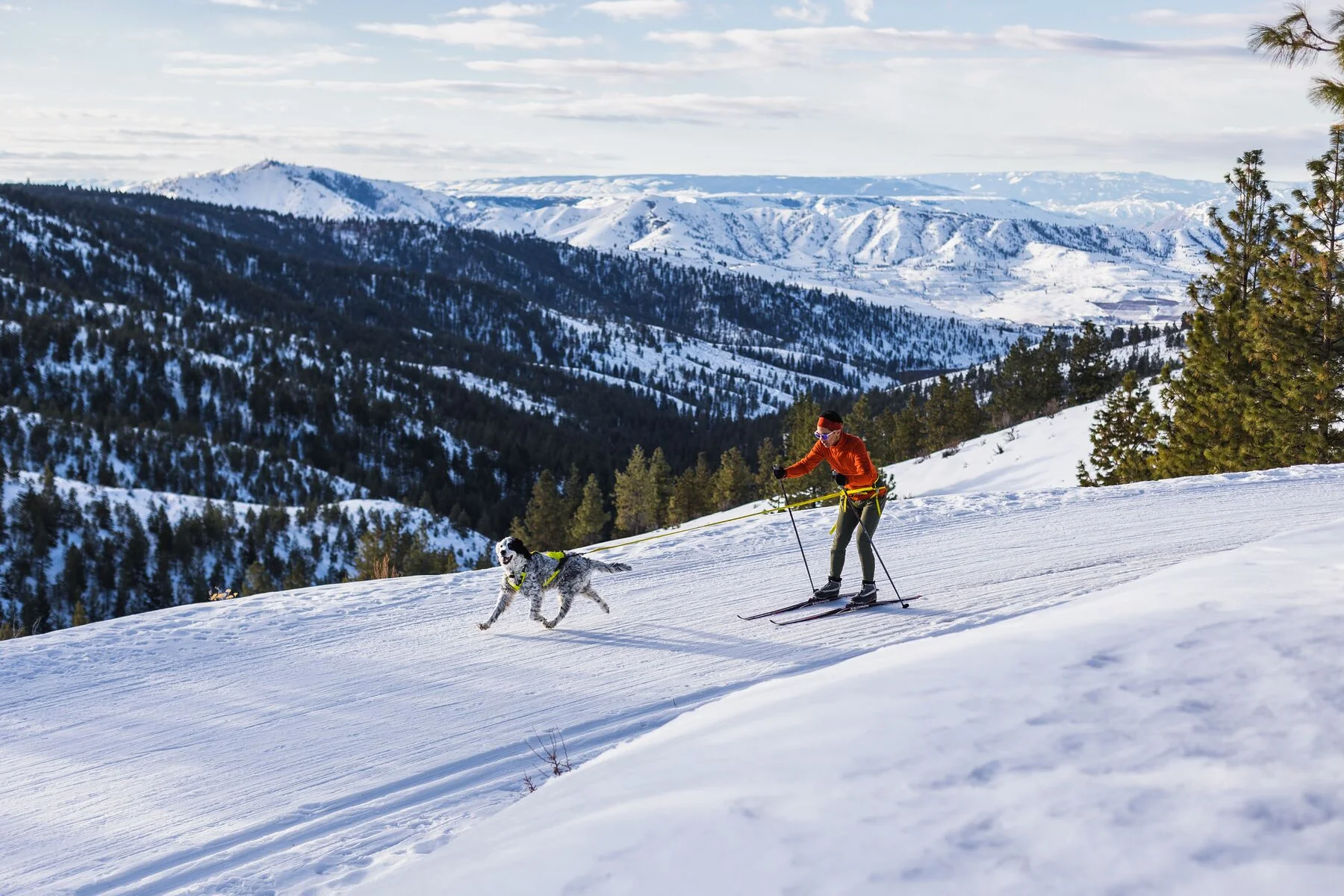 Imagen del producto 31