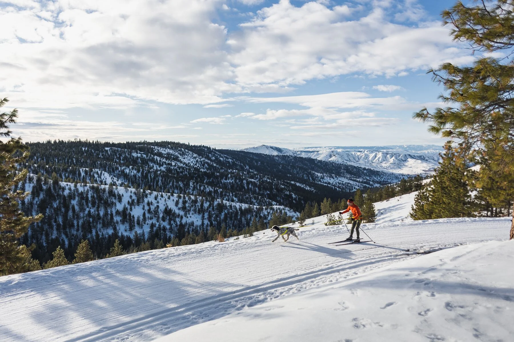 Imagen del producto 33