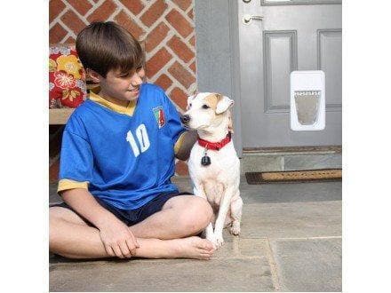 Imagen del producto 5