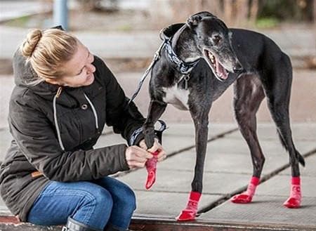 Imagen del producto 6