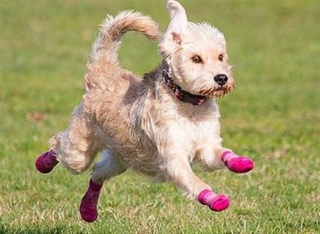 Imagen del producto 6