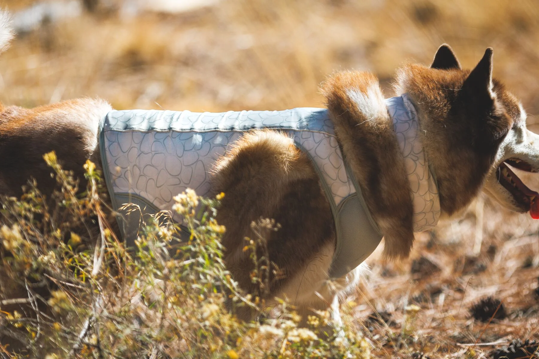 Imagen del producto 10