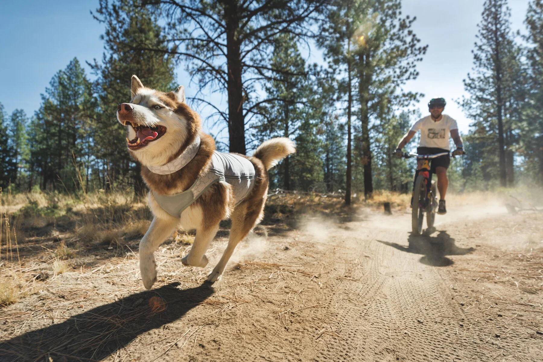 Imagen del producto 8