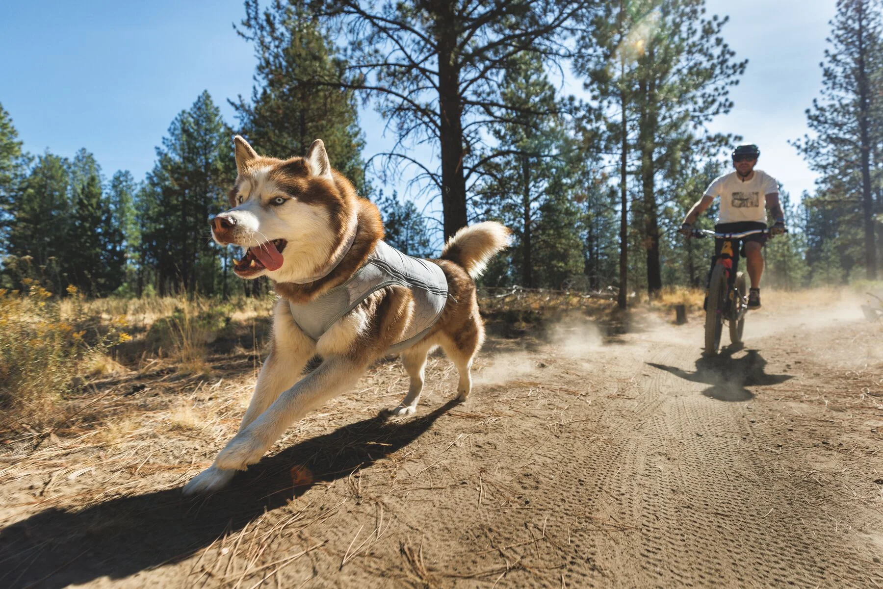 Imagen del producto 9