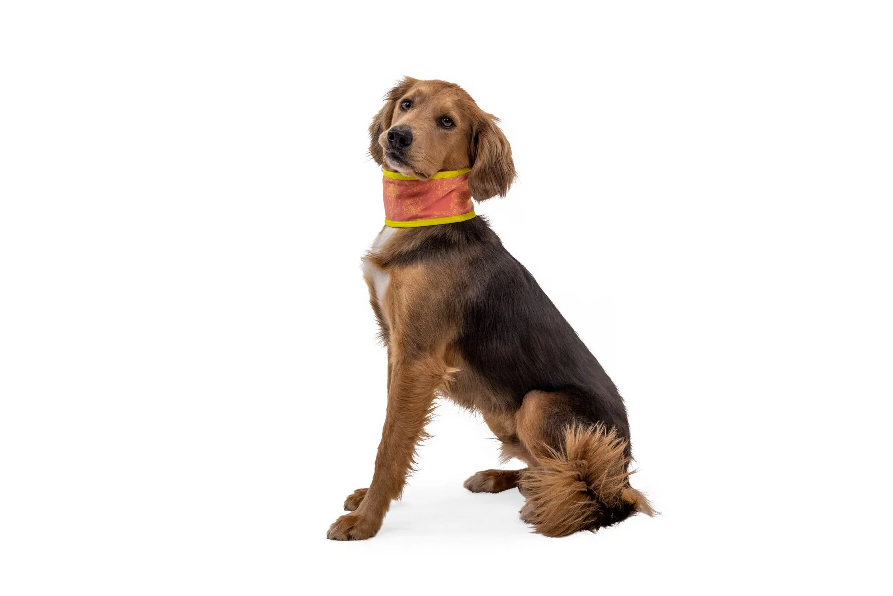 Imagen del producto 11