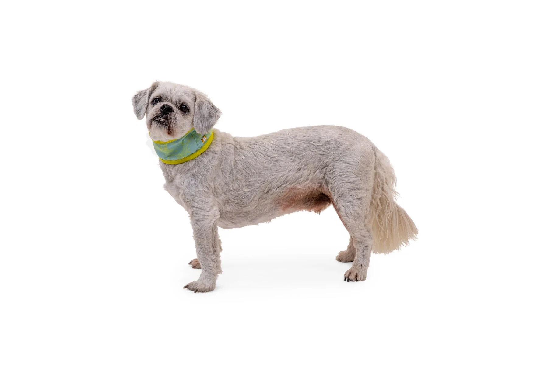 Imagen del producto 12