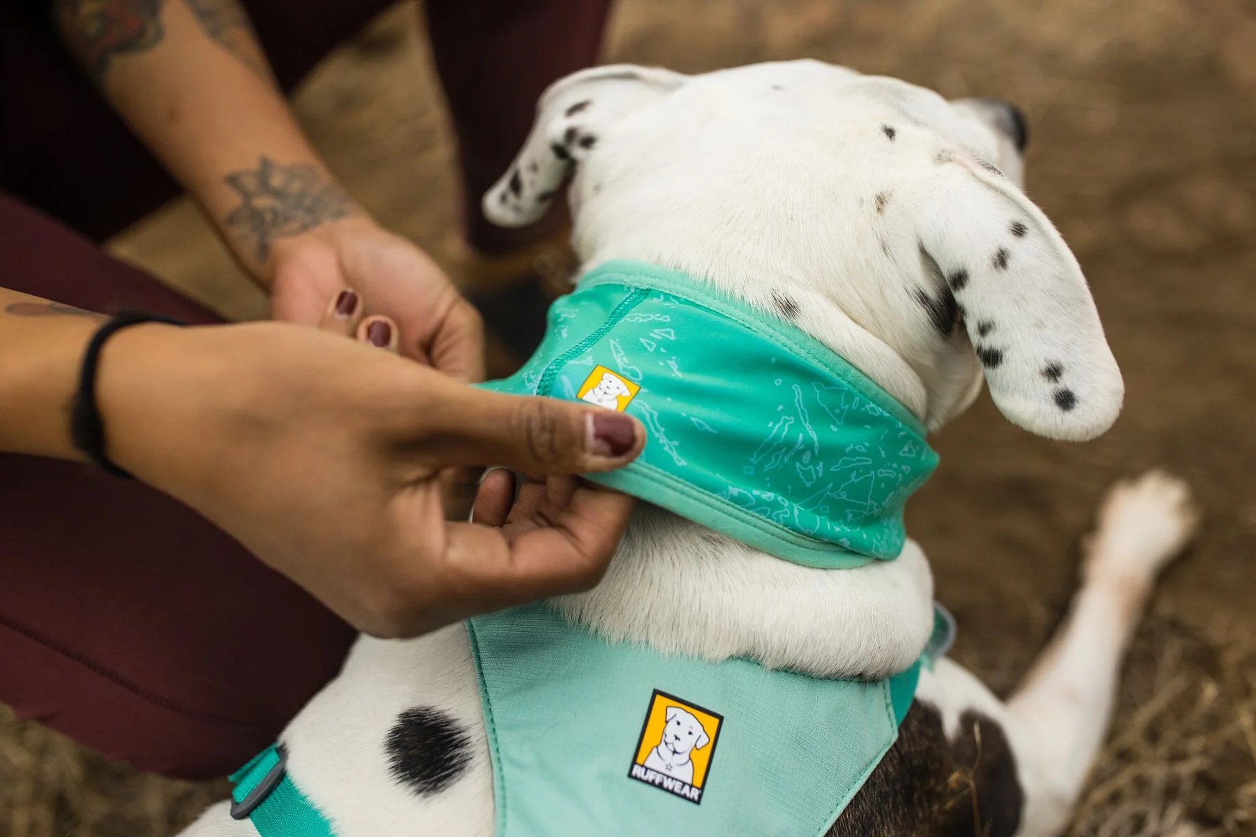 Imagen del producto 14