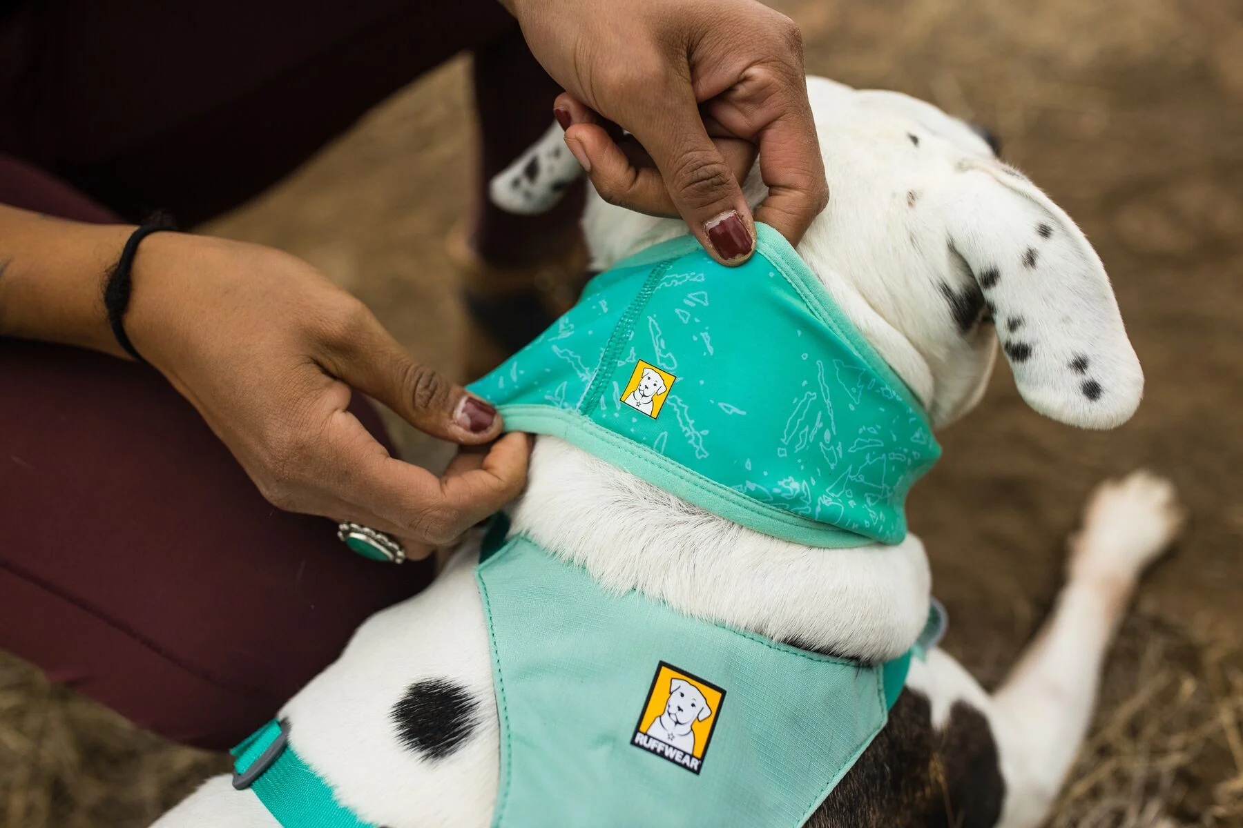 Imagen del producto 15