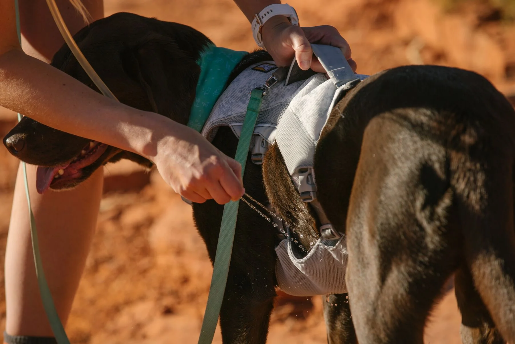 Imagen del producto 27