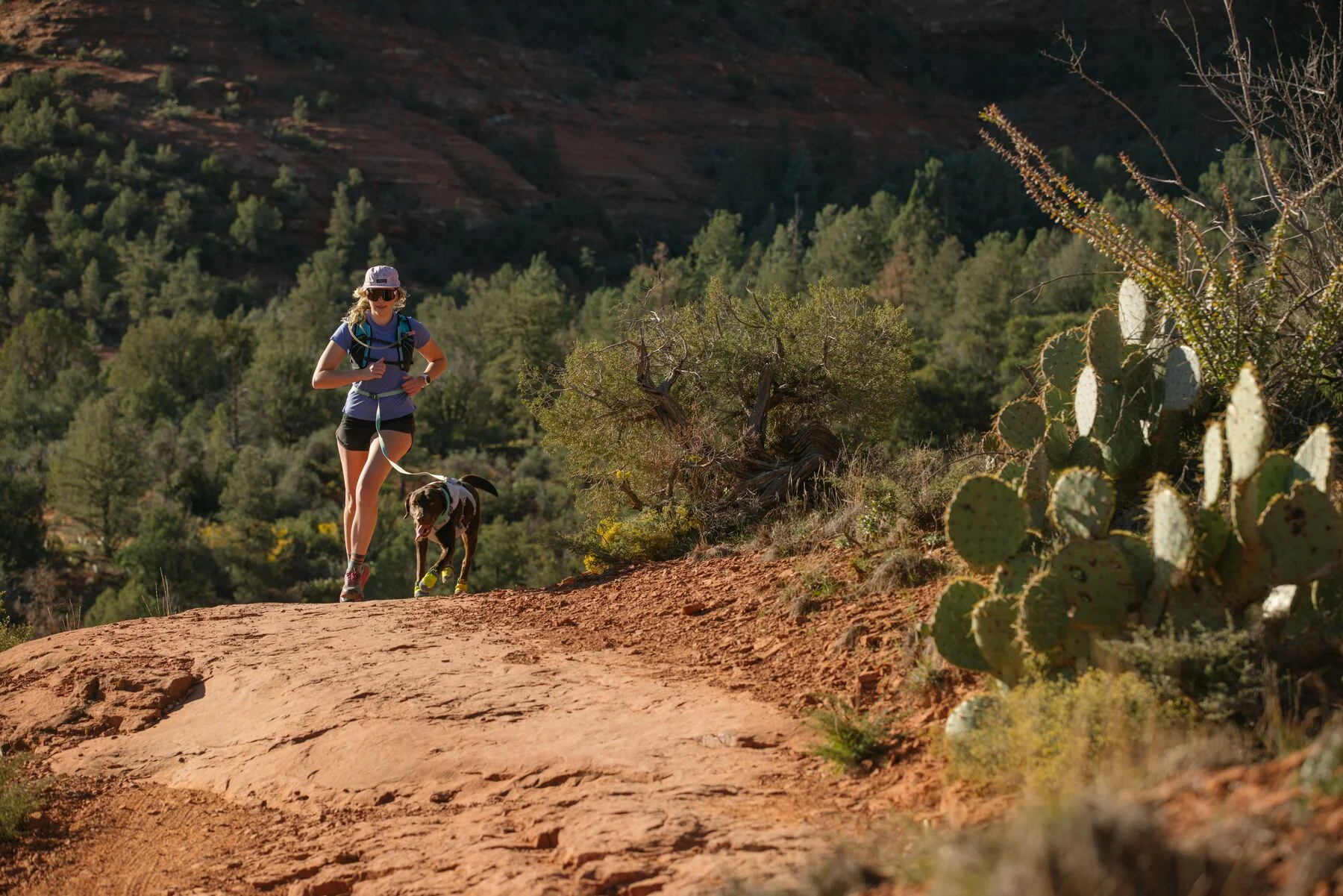 Imagen del producto 28