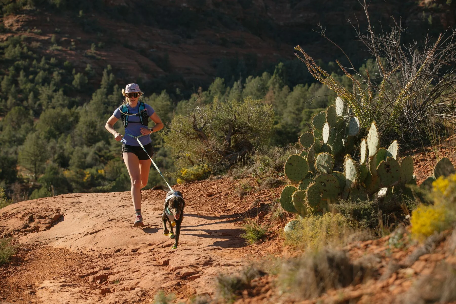 Imagen del producto 29