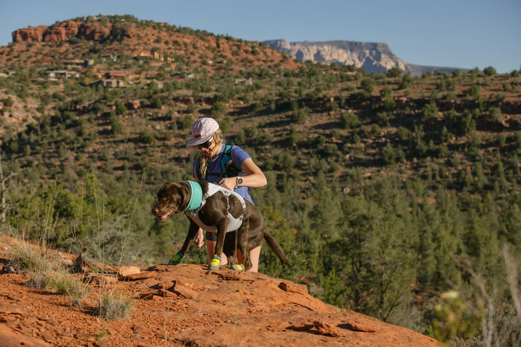 Imagen del producto 31