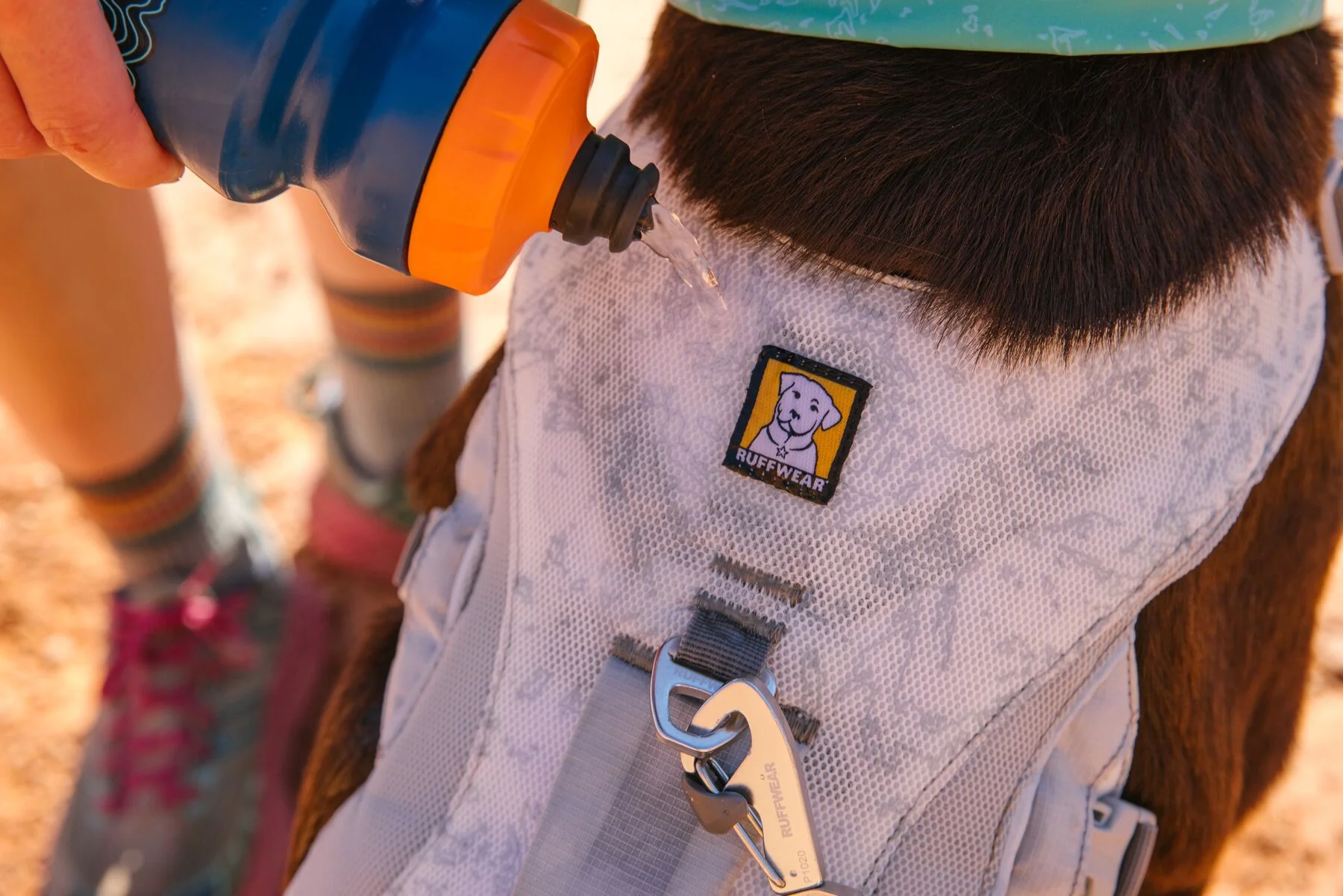 Imagen del producto 36