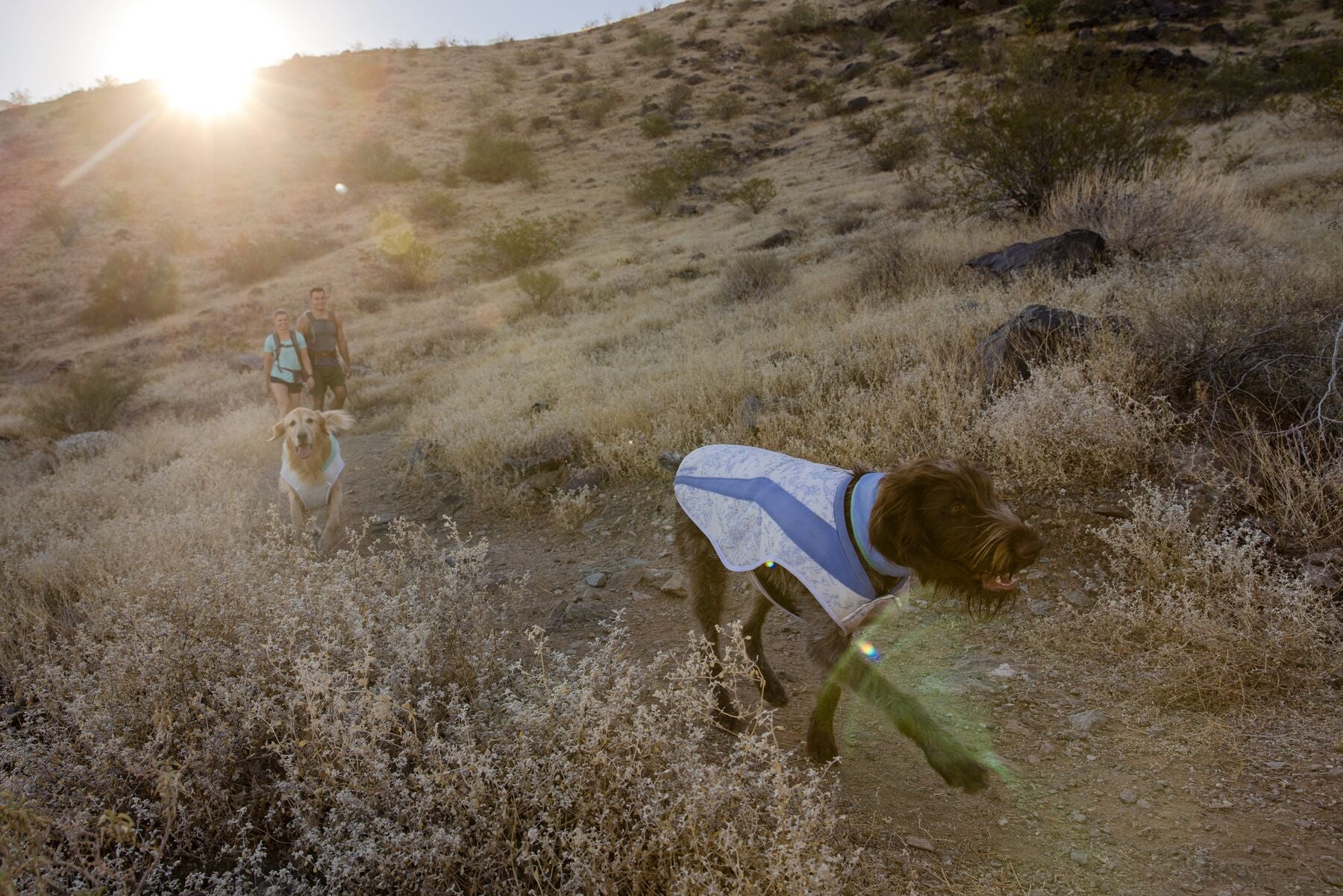 Imagen del producto 47