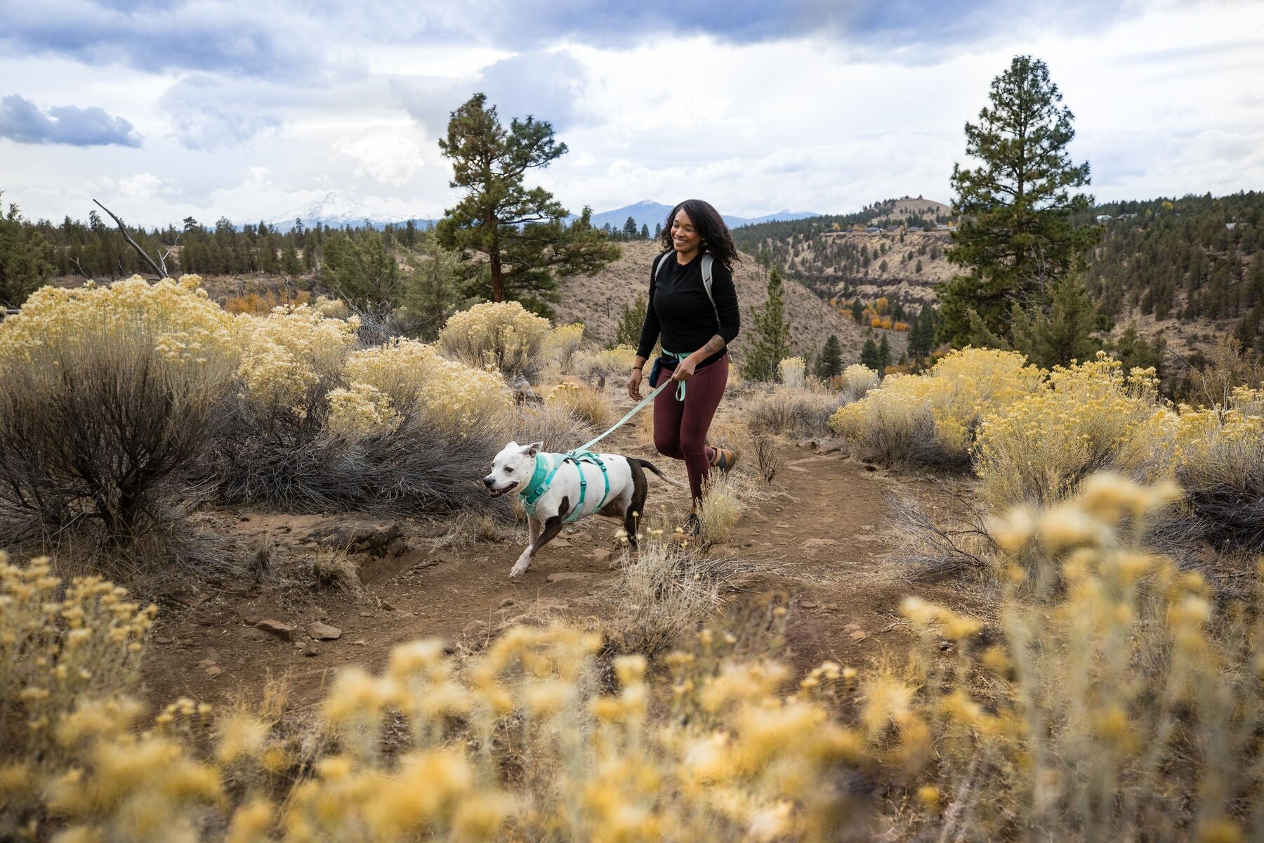 Imagen del producto 76