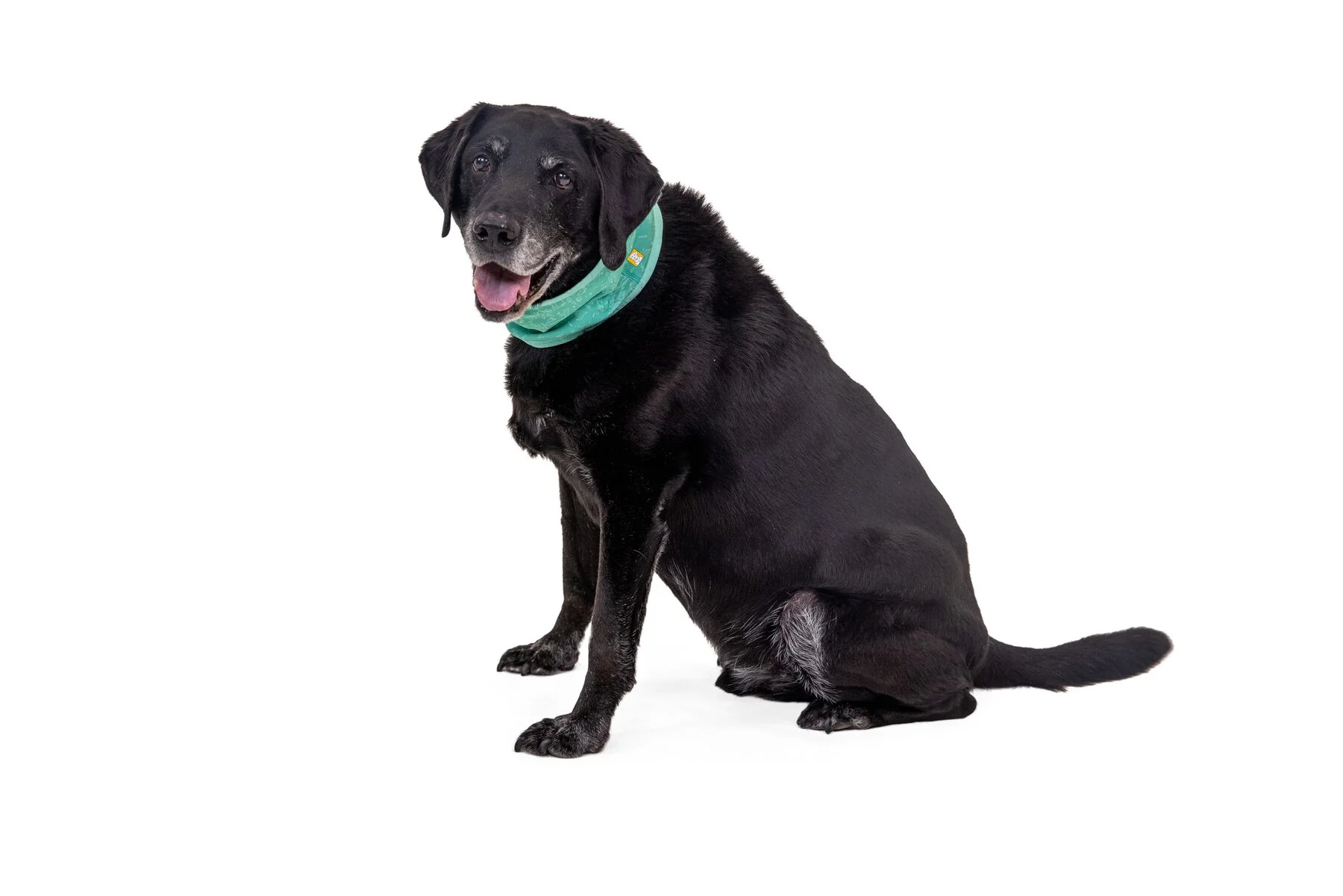 Imagen del producto 8