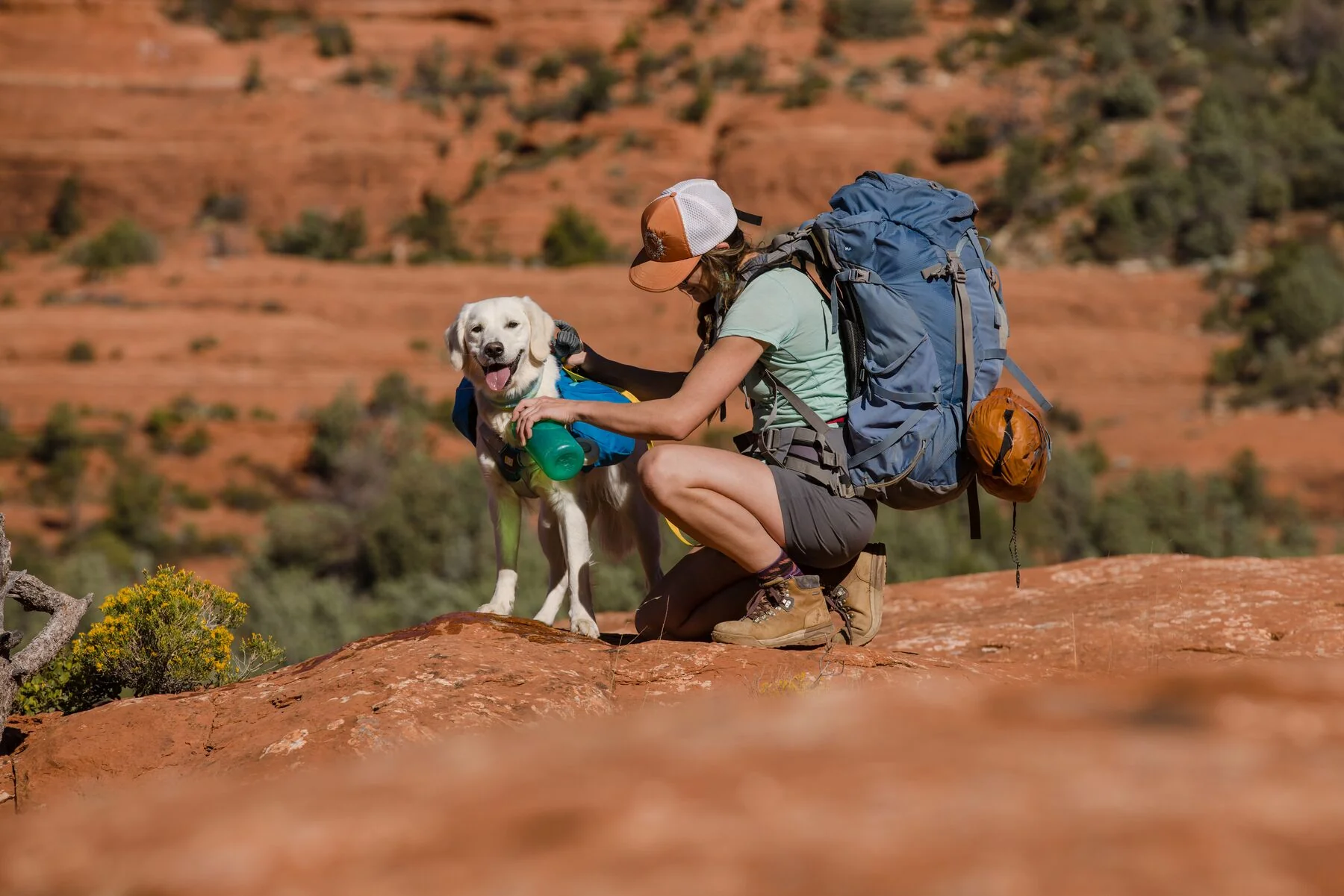 Imagen del producto 82