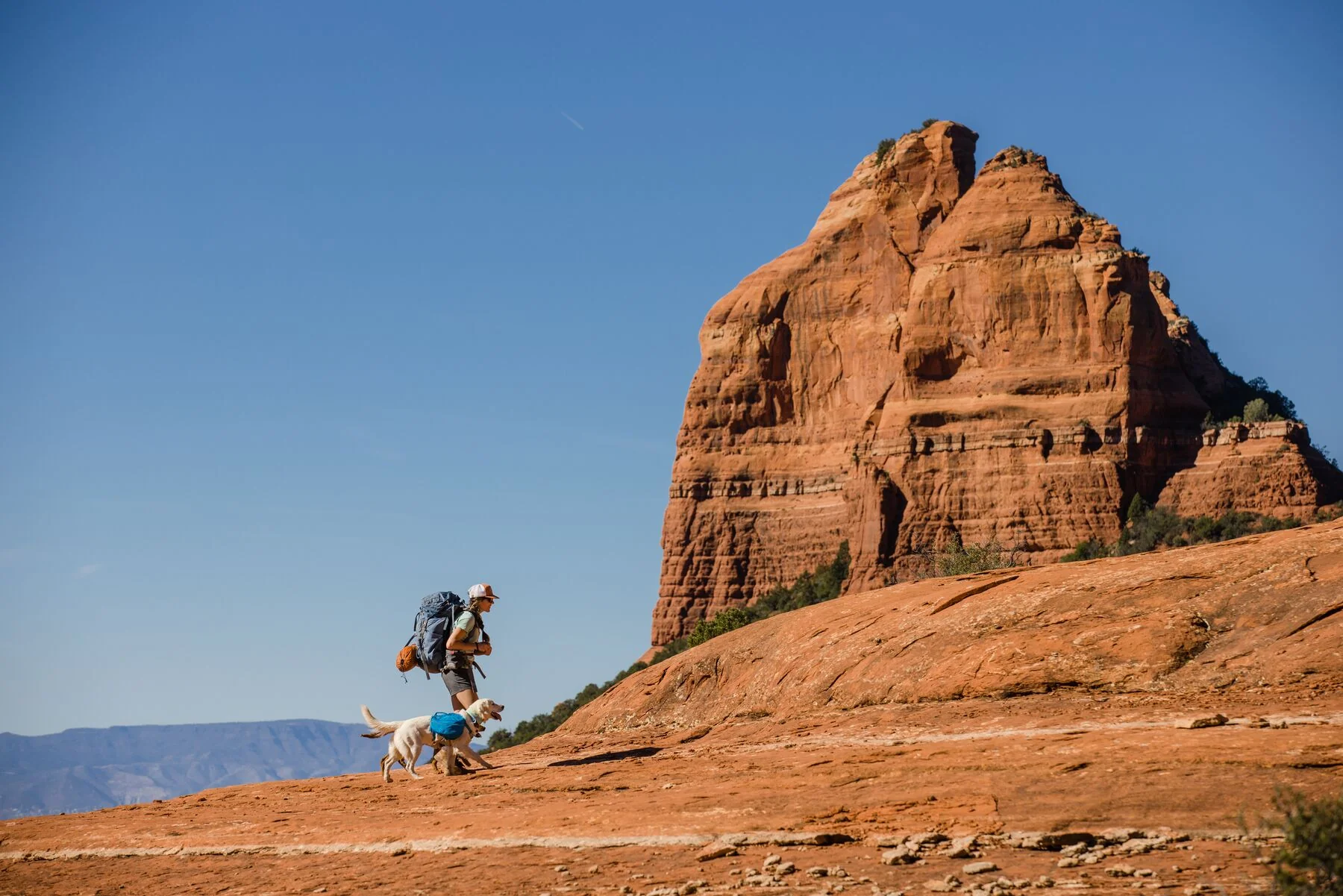 Imagen del producto 87