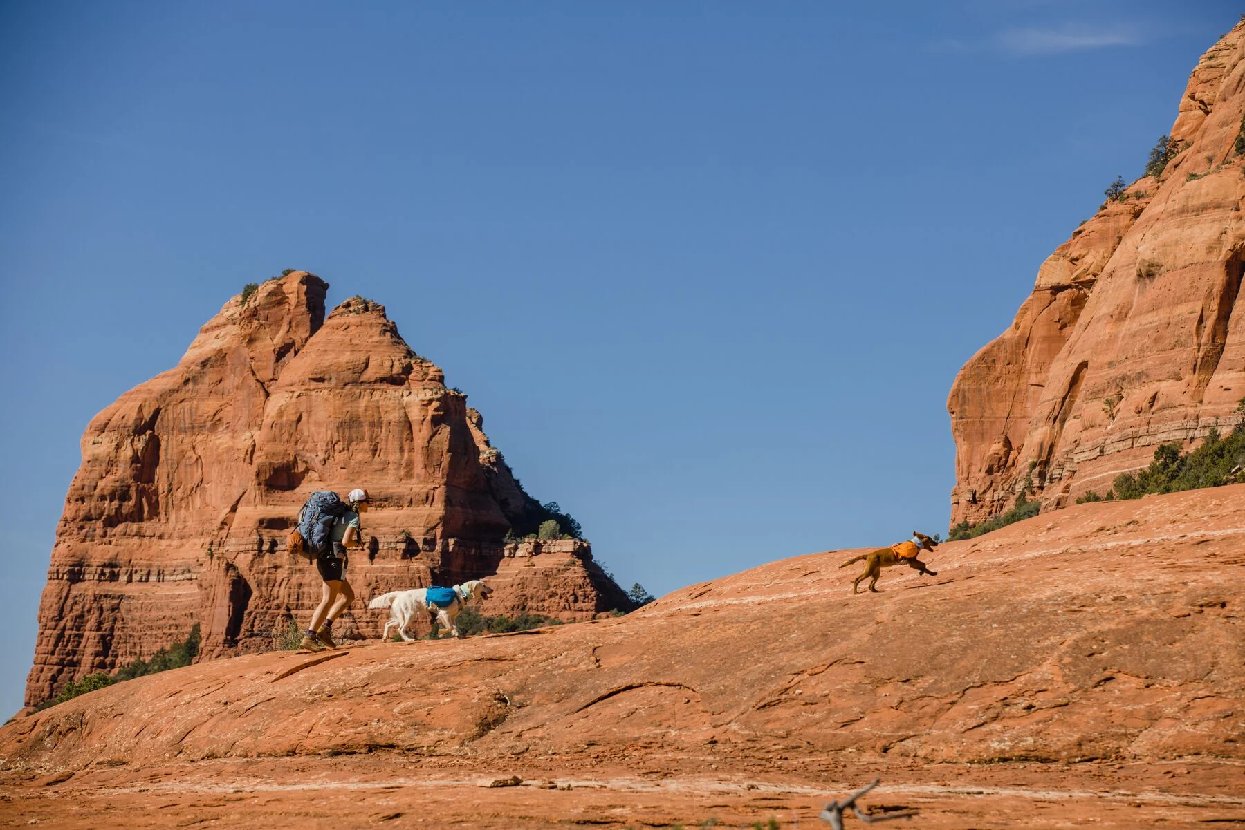 Imagen del producto 88