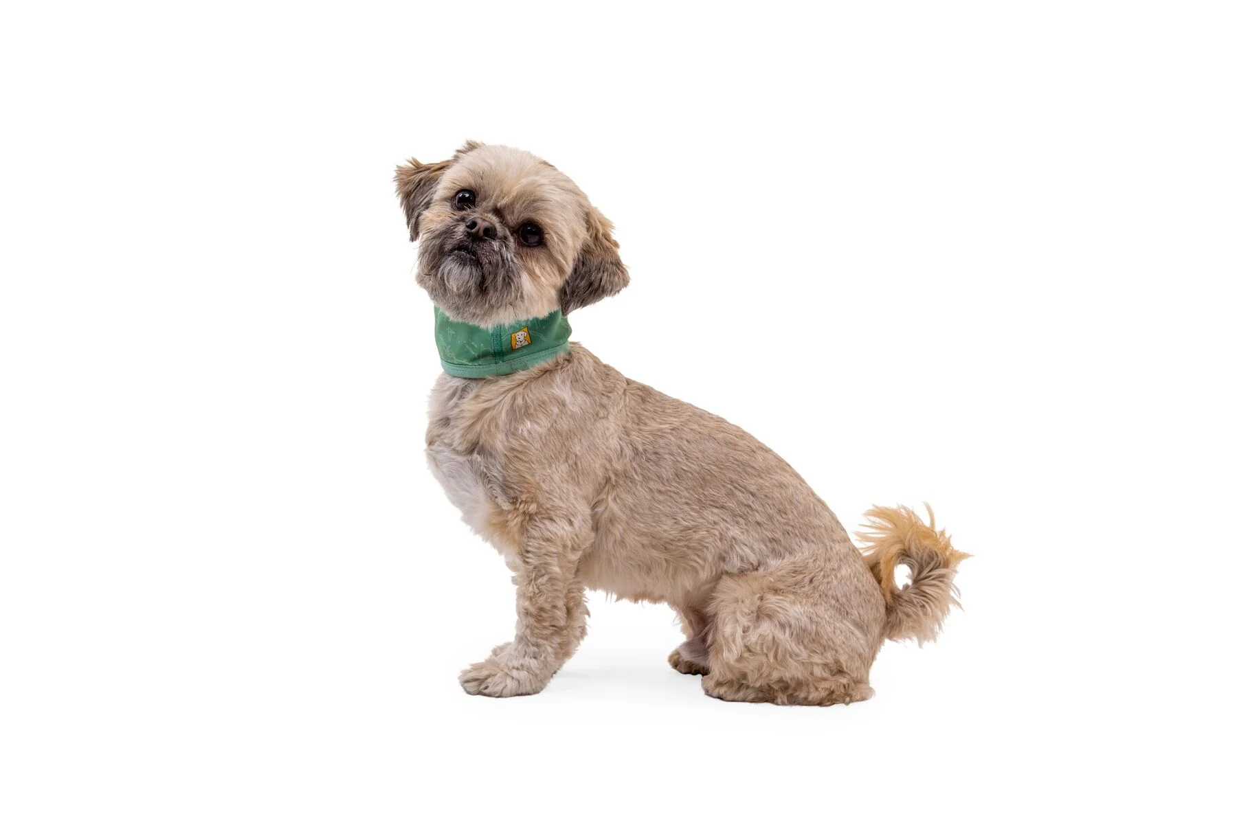 Imagen del producto 9