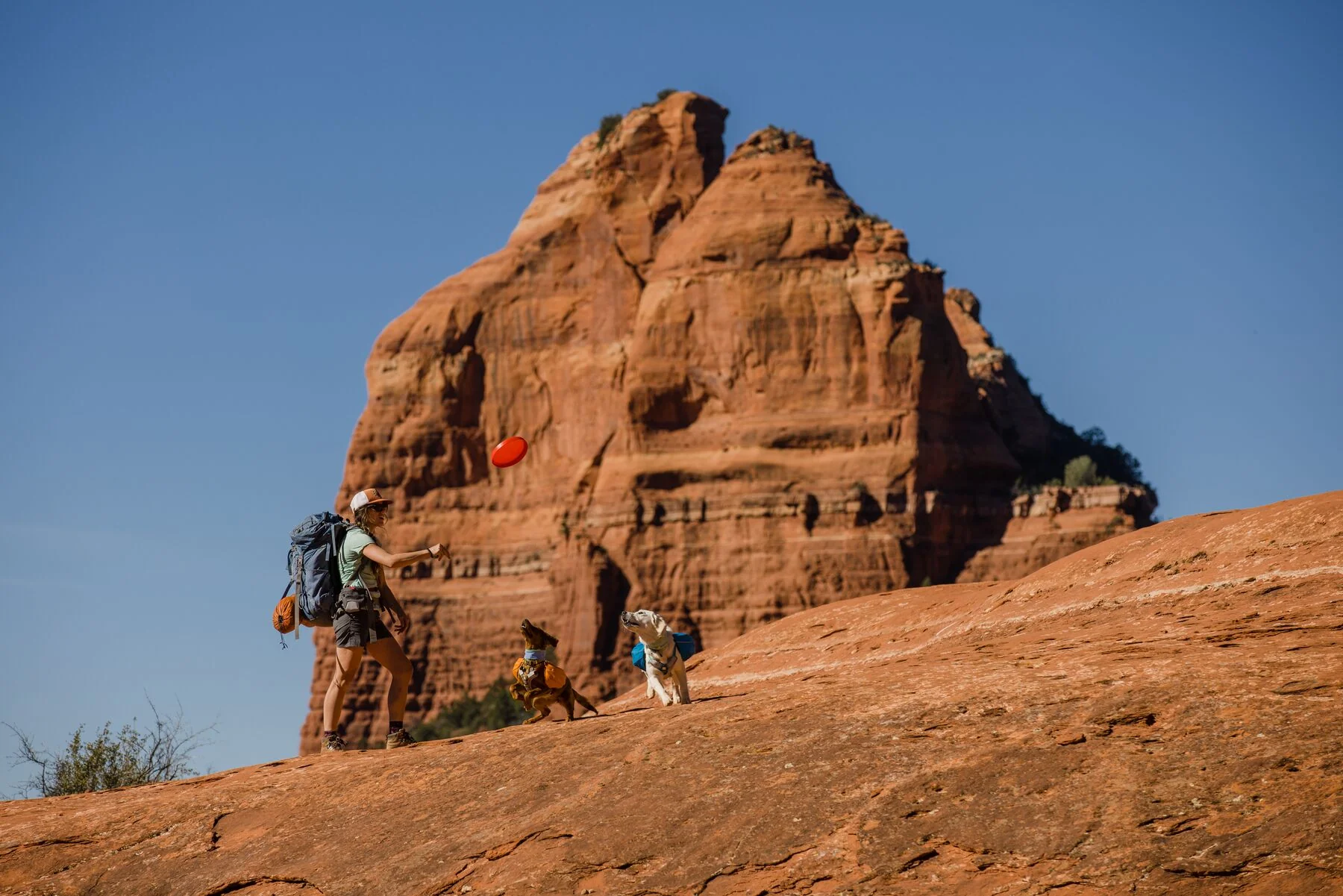 Imagen del producto 90