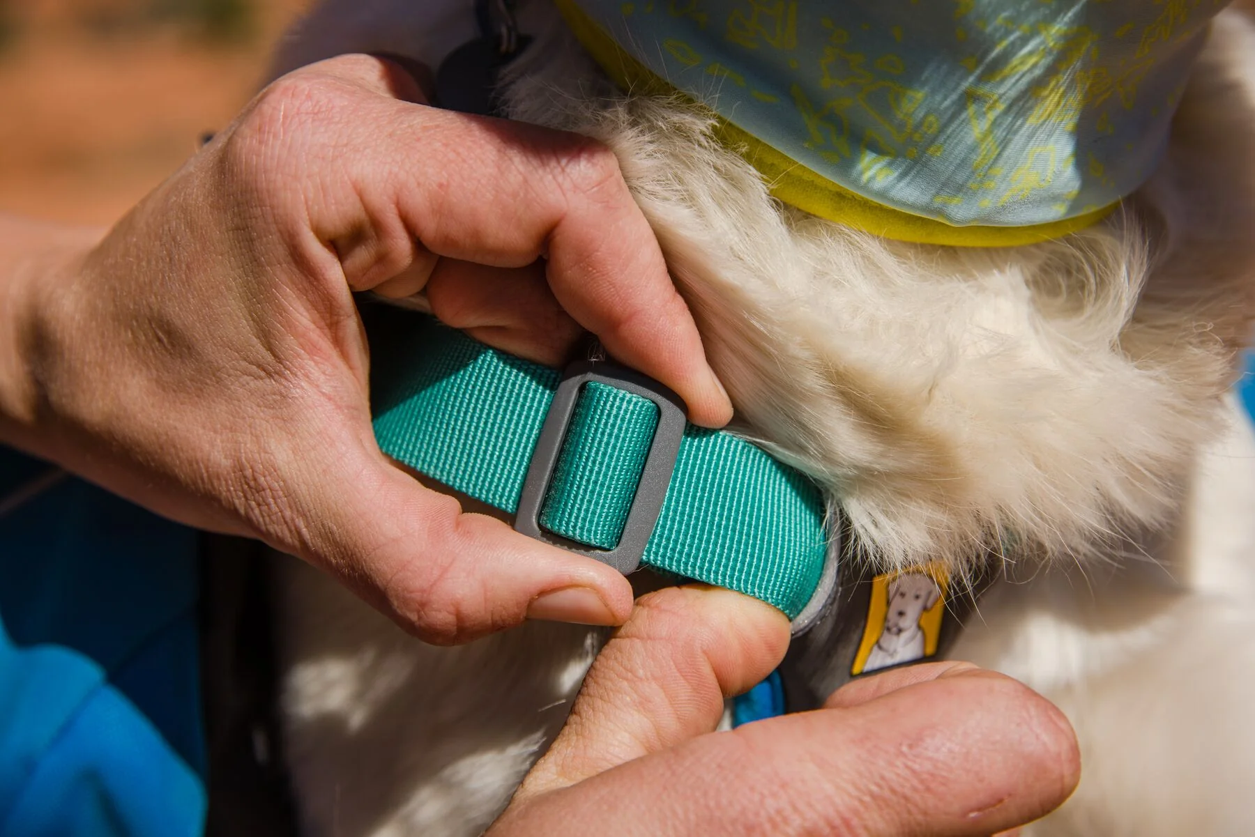 Imagen del producto 92