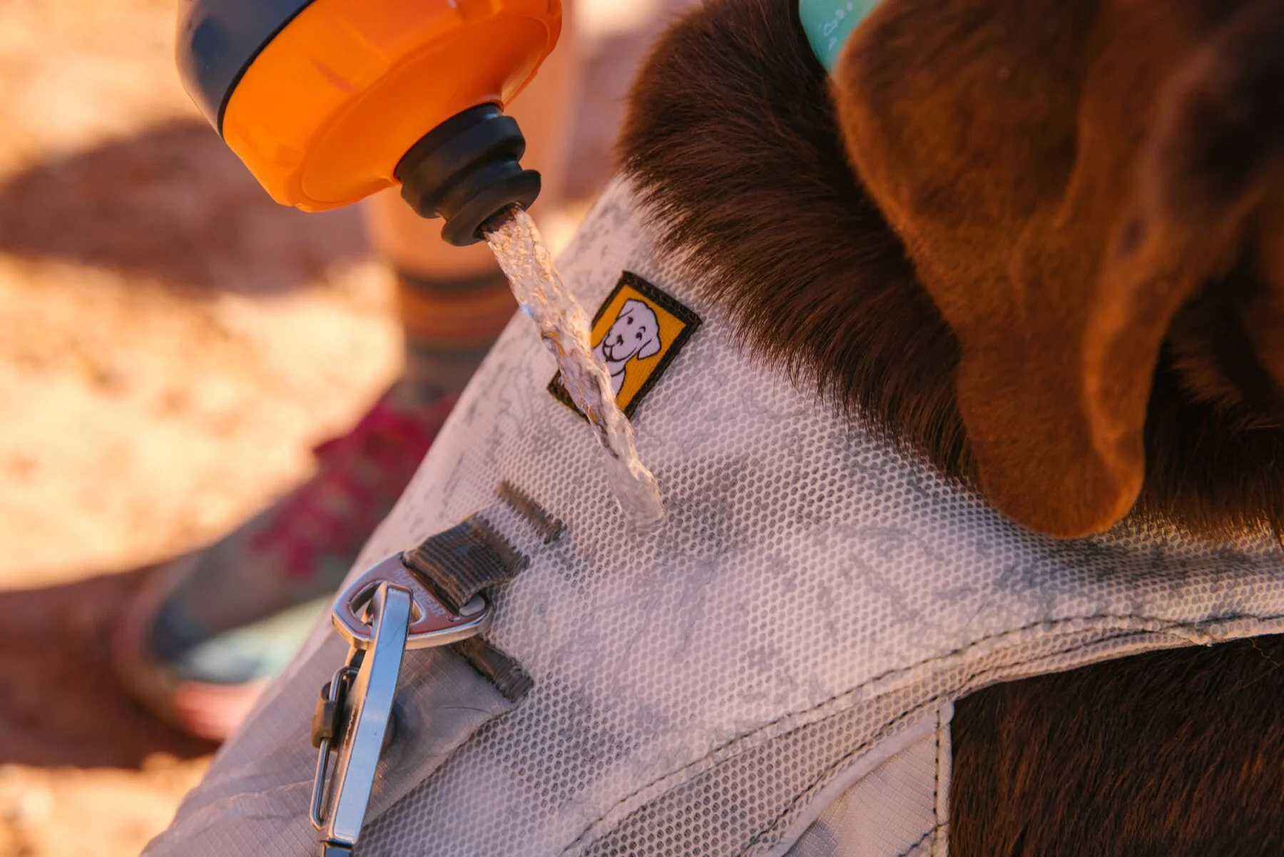 Imagen del producto 16