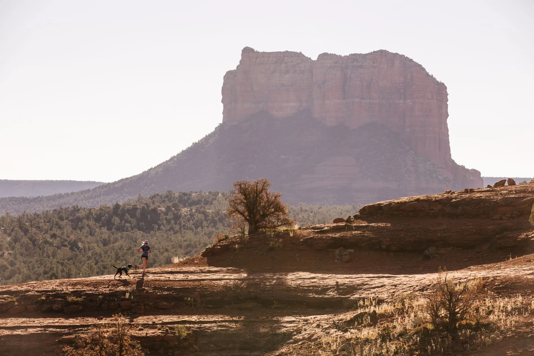 Imagen del producto 28