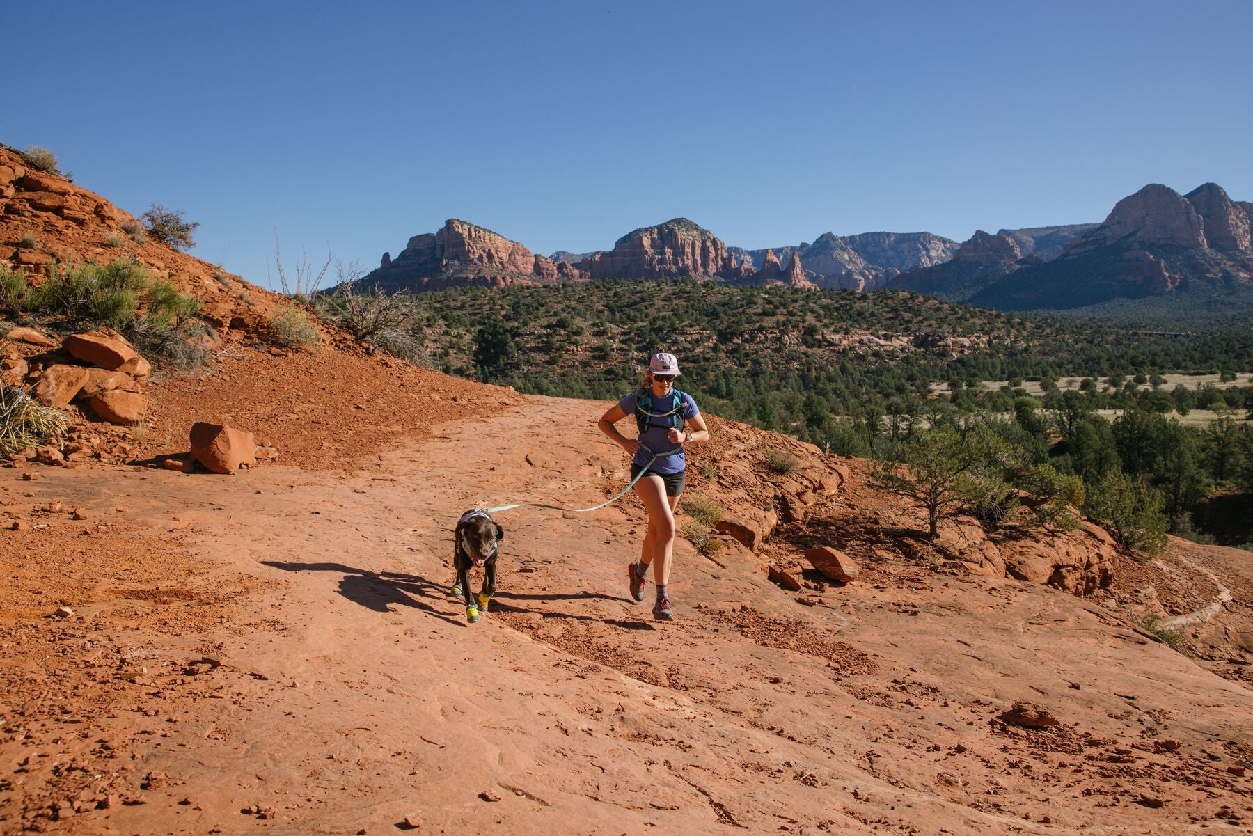 Imagen del producto 42