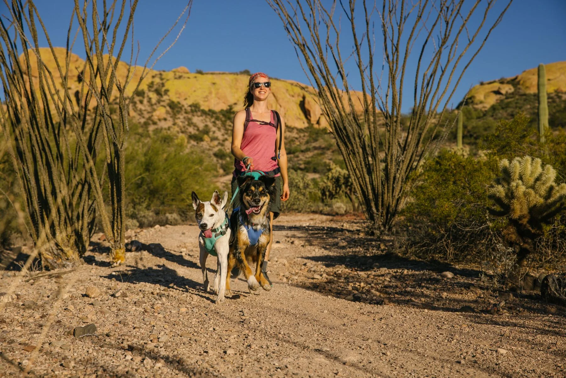 Imagen del producto 45