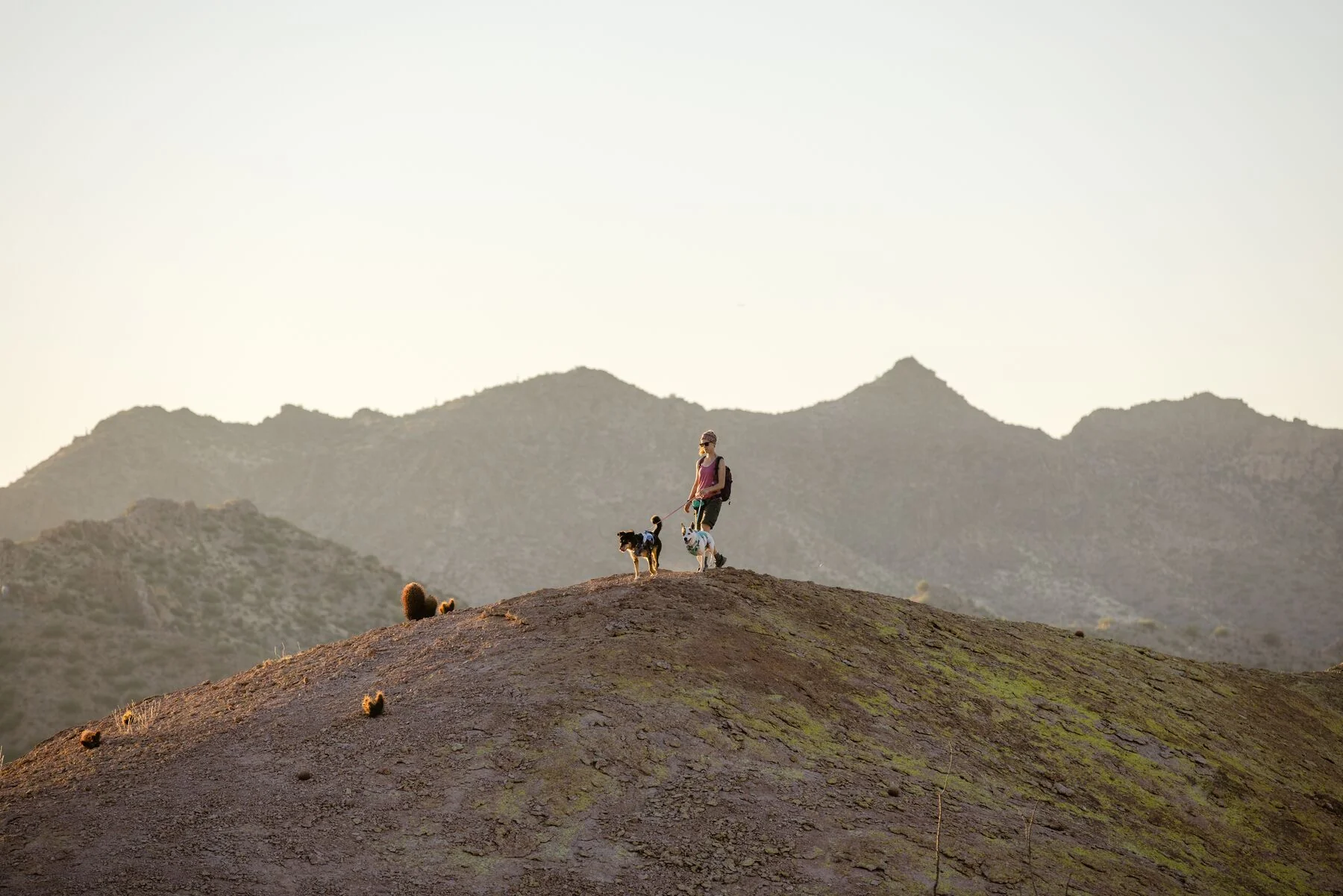 Imagen del producto 54