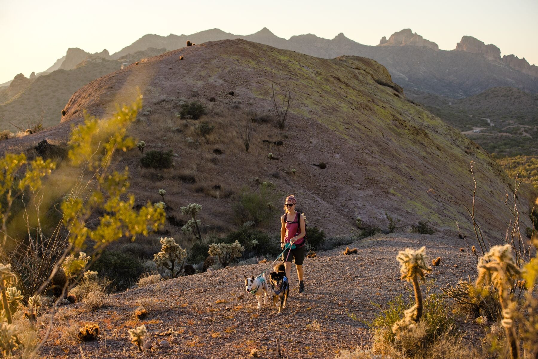 Imagen del producto 56