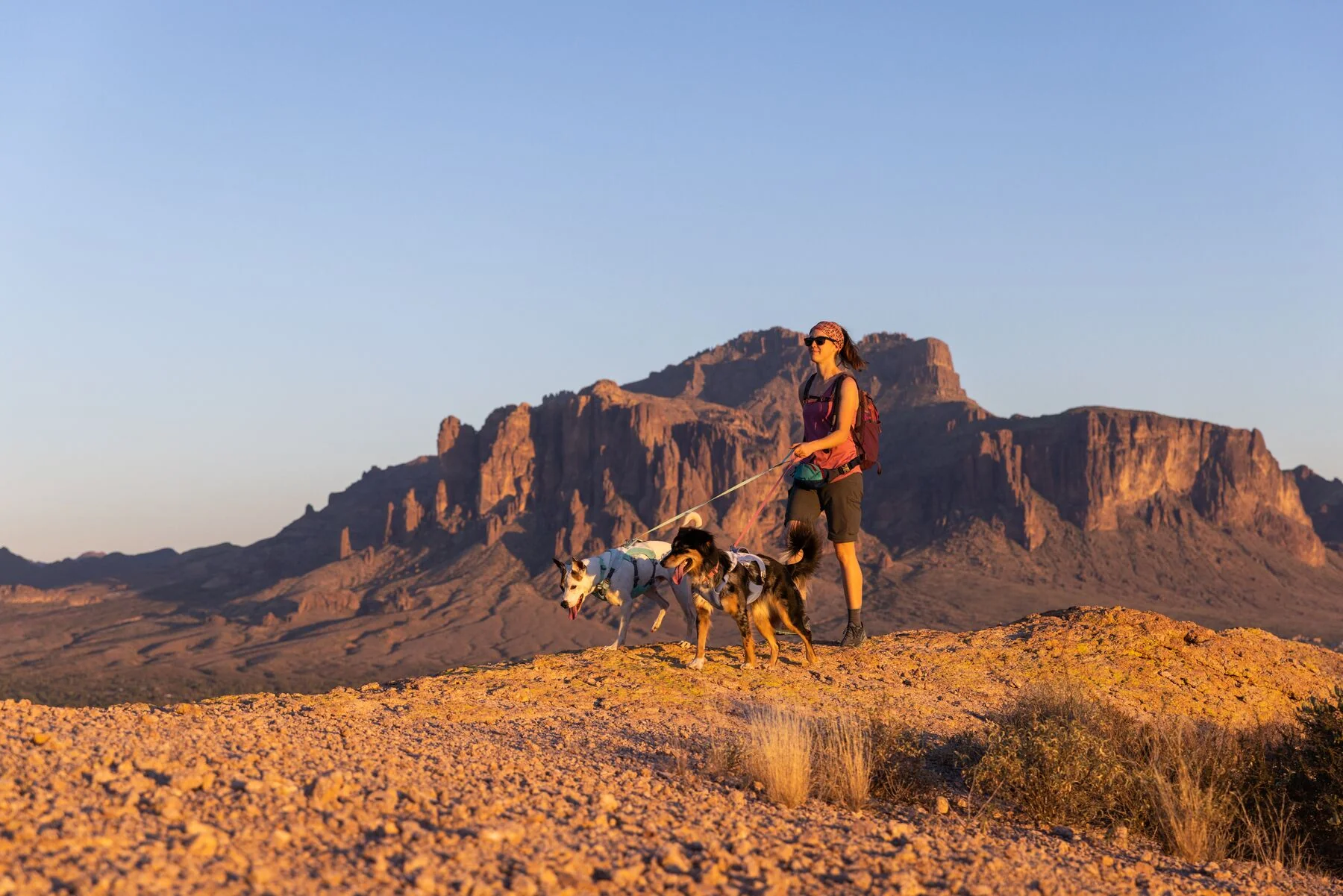 Imagen del producto 57